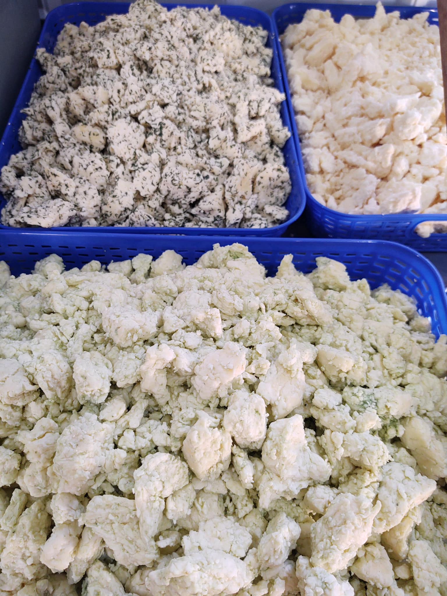 Cheese Curds